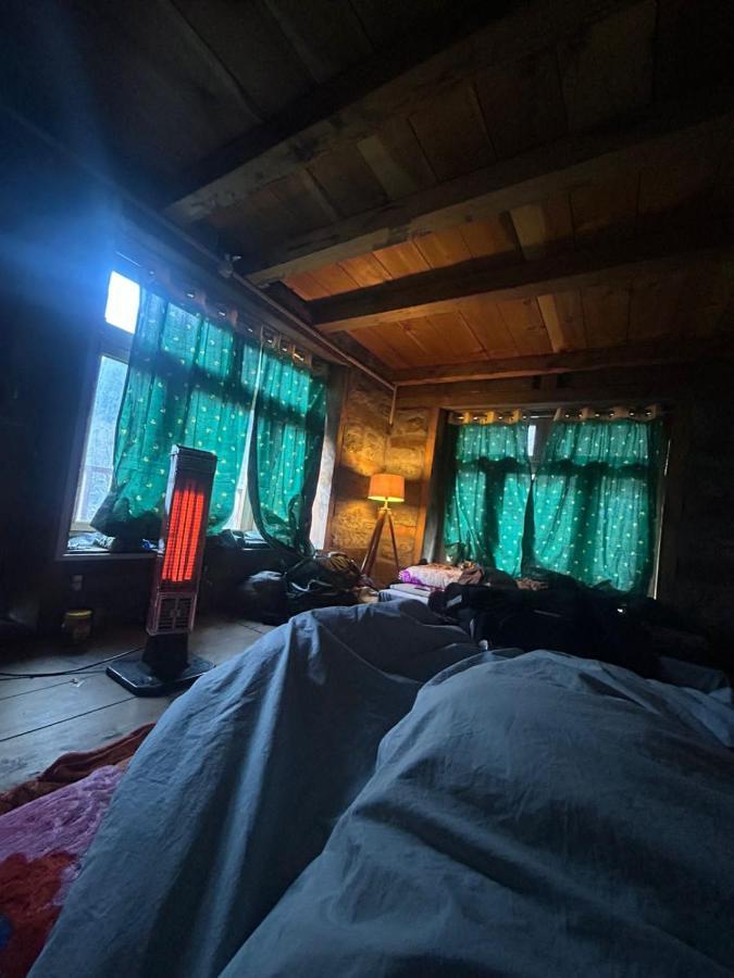 Homestay Enter The Wild *