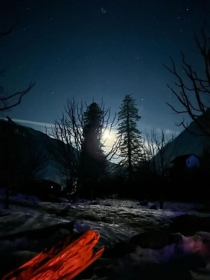 Homestay Enter The Wild