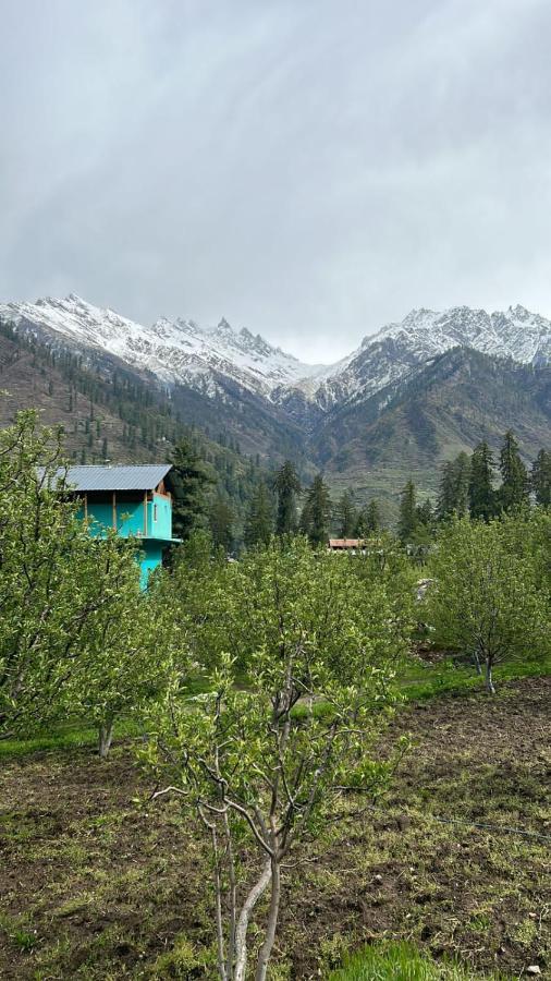 Enter The Wild Homestay