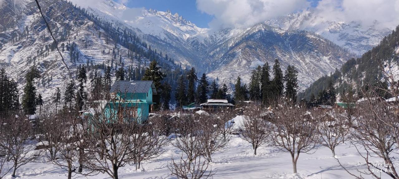 Enter The Wild Homestay