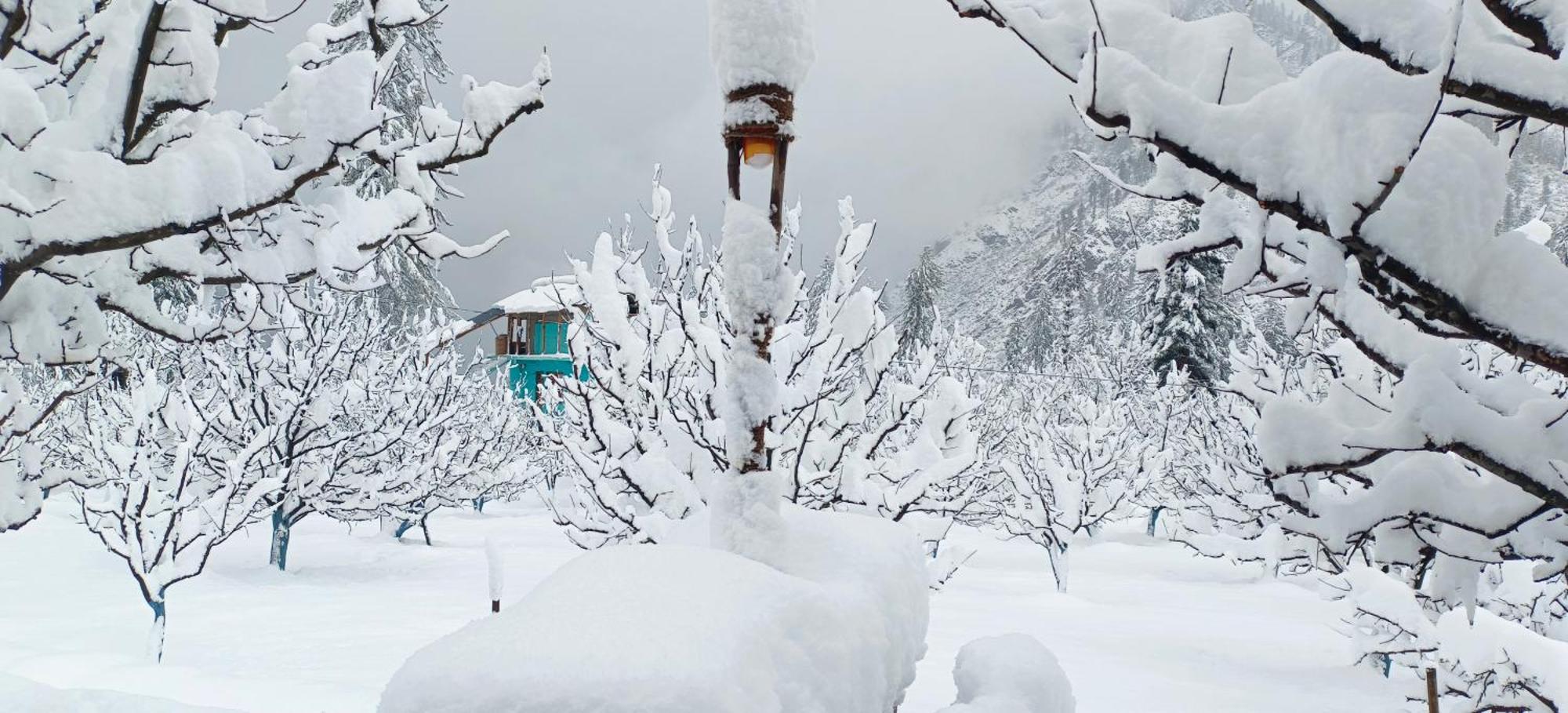 Homestay Enter The Wild