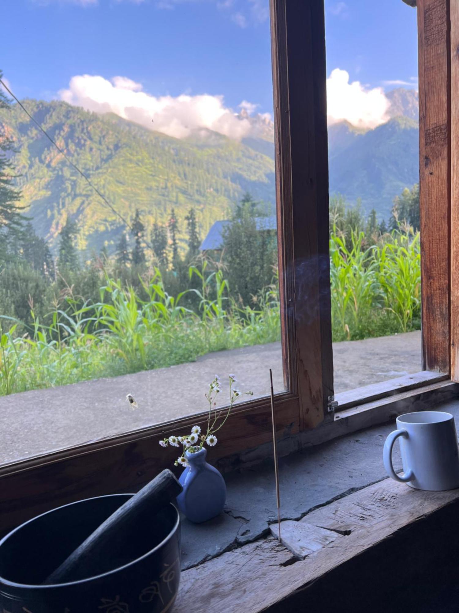 Enter The Wild Homestay Kalgha